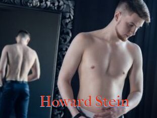 Howard_Stein
