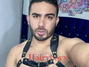 Hairyboyx