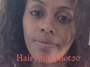 Hairypussyhot20