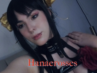 Hanaerosses
