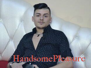HandsomePleasure