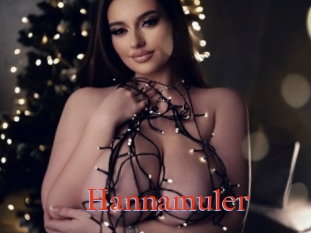 Hannamuler