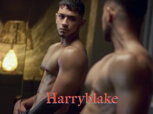 Harryblake