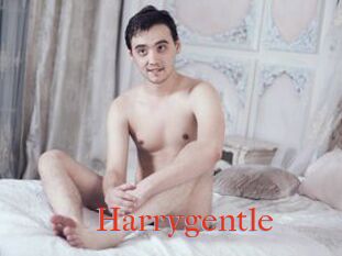 Harrygentle