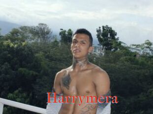 Harrymera