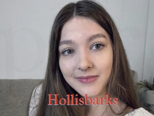 Hollisbarks