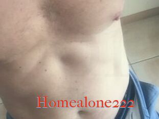 Homealone222