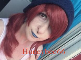 Honeybee66