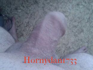 Hornydan1733