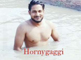 Hornygaggi