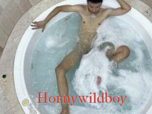 Hornywildboy