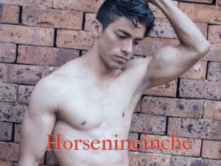 Horsenineinche
