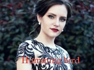 Humming_bird