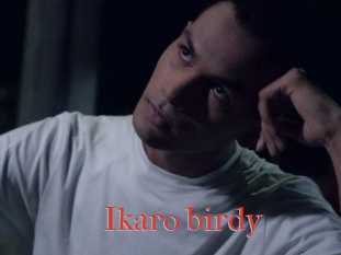 Ikaro_birdy