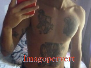 Imagopervert
