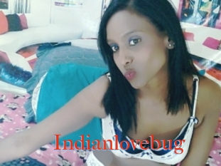 Indianlovebug