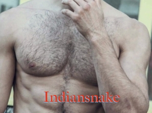 Indiansnake