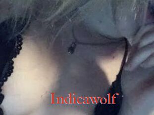 Indicawolf