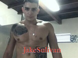 Jake_Sulivan