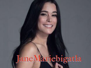 JaneMariebigatla