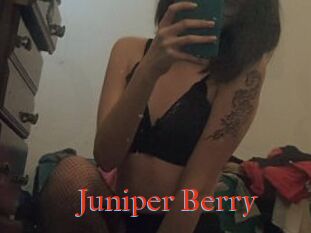 Juniper_Berry