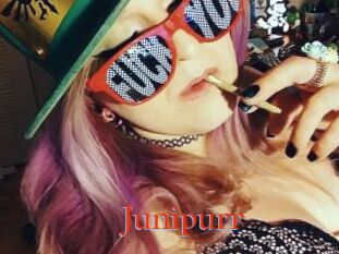 Junipurr