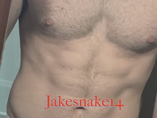 Jakesnake14