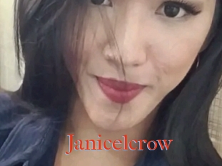 Janicelcrow