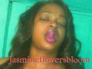 Jasmineflowersbloom