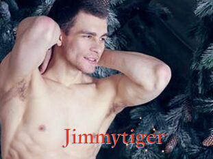 Jimmytiger