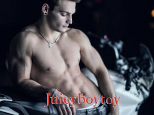 Juicyboytoy