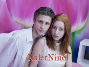 KaletNinel