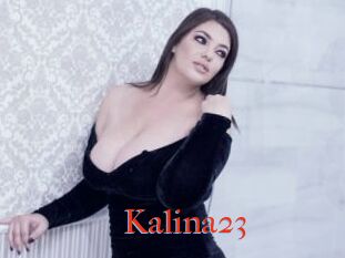 Kalina23