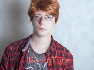 KevinTiger