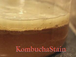 KombuchaStain
