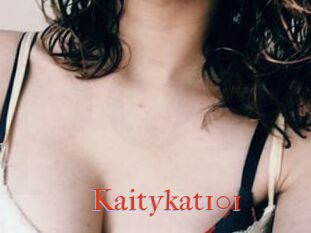 Kaitykat101
