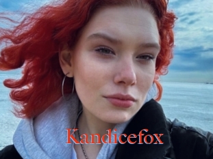 Kandicefox
