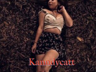 Kanndycatt