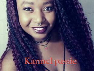 Kannel_passie