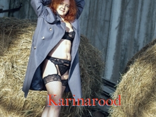 Karinarood