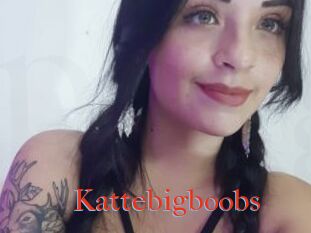 Kattebigboobs