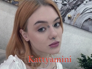 Kattyamini