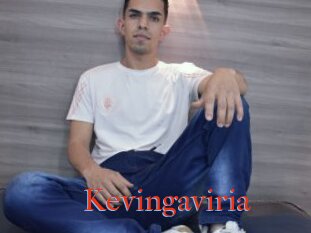 Kevingaviria