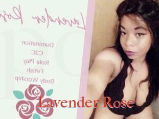 Lavender_Rose