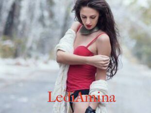 LediAmina