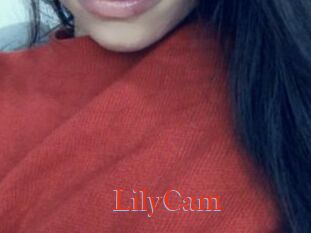 LilyCam