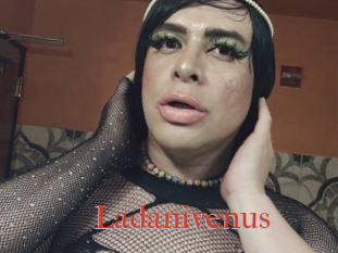 Ladanivenus