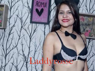 Laddyrosse