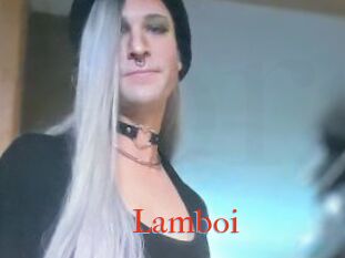 Lamboi