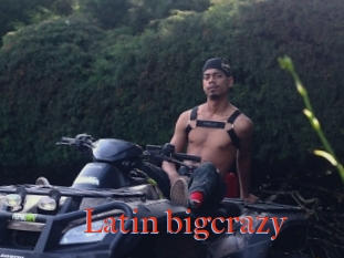 Latin_bigcrazy